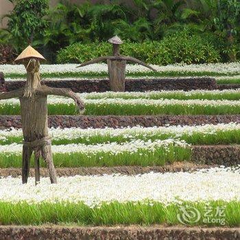 三亚亚龙湾红树林度假酒店酒店提供图片