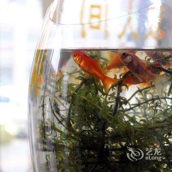 芜湖鸿扬宾馆酒店提供图片