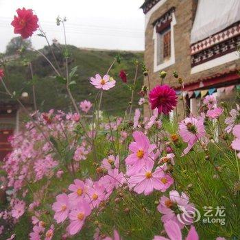 康定木雅康珠客栈酒店提供图片