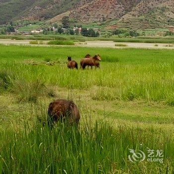 盐源泸沽湖拉姆客栈酒店提供图片