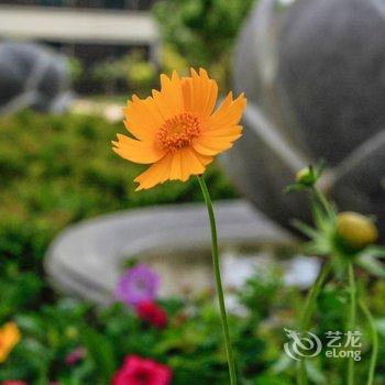 葫芦岛海阔嘉园度假公寓酒店提供图片