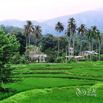 七仙岭鹤川温泉酒店酒店提供图片