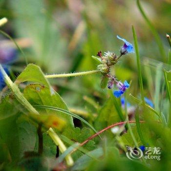 甘孜三人行客栈酒店提供图片