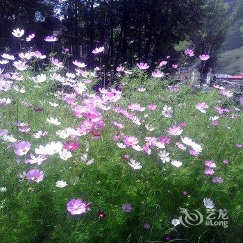 甘孜三人行客栈酒店提供图片