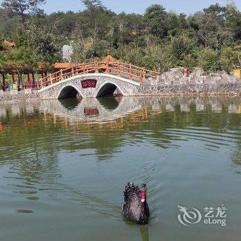 上思乐然居酒店酒店提供图片