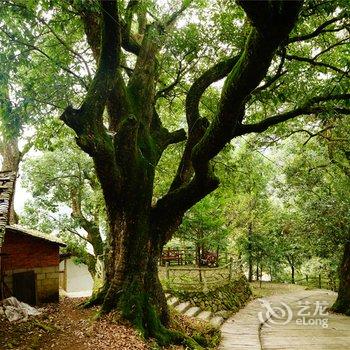 松阳隐舍李坑民宿客栈酒店提供图片