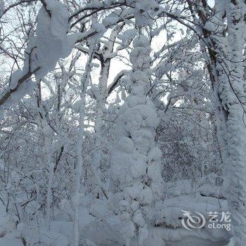 雪乡老东北铁锅炖民宿酒店提供图片