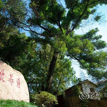 临安上海故事龙岗山庄酒店提供图片