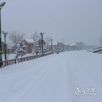 亚布力温泉滑雪度假别墅酒店提供图片