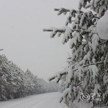 亚布力温泉滑雪度假别墅酒店提供图片