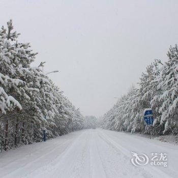 亚布力温泉滑雪度假别墅酒店提供图片