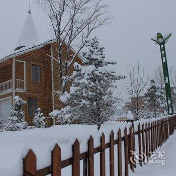 亚布力温泉滑雪度假别墅酒店提供图片