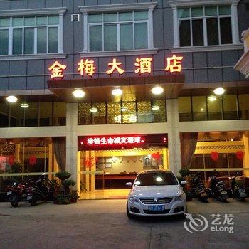 梅州蕉岭金梅大酒店酒店提供图片