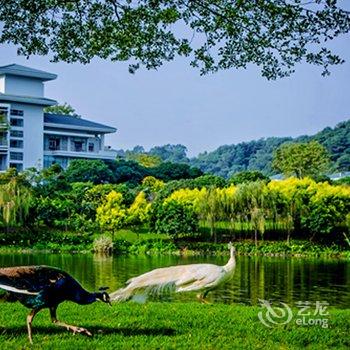 南宁荔园山庄酒店提供图片