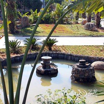 儋州森林客栈(两院植物园店)酒店提供图片
