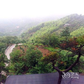 诸暨伽叶养生居客栈酒店提供图片