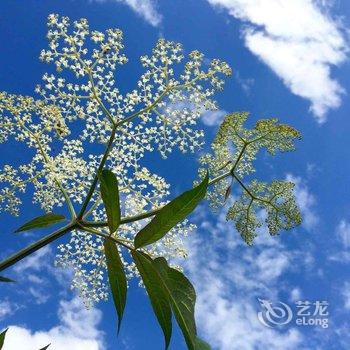 腾冲山野·涧民宿酒店提供图片