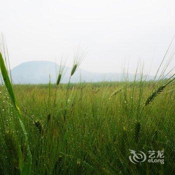 腾冲山野·涧民宿酒店提供图片