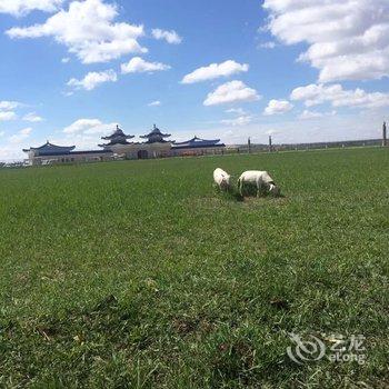 张北县坝上中都草原马二虎农家院酒店提供图片