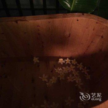 西双版纳净朴植物主题酒店酒店提供图片