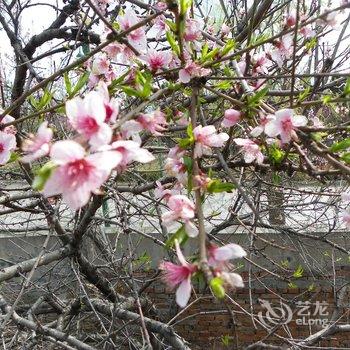 登封文惠山庄酒店提供图片