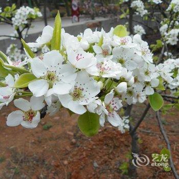 登封文惠山庄酒店提供图片