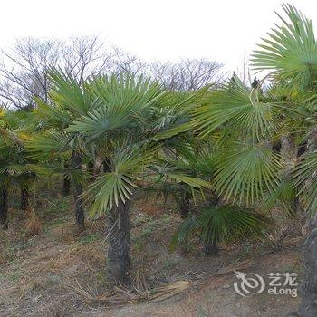 登封文惠山庄酒店提供图片