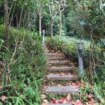 普洱茂圆鳟鱼庄住宿酒店提供图片