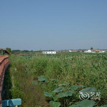 保定王家寨水乡民俗村19号院农家乐酒店提供图片