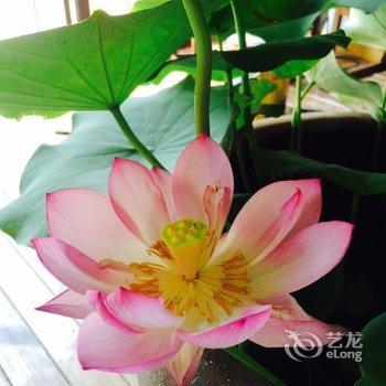 过来民宿酒店提供图片