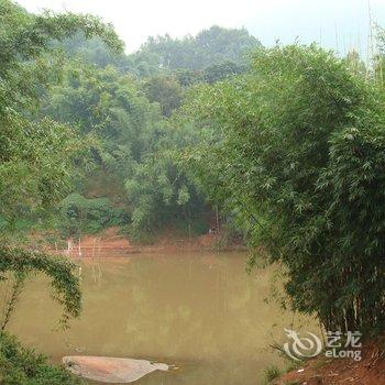 赤水大同镇永春宾馆酒店提供图片