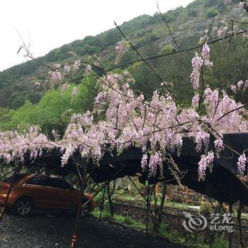 武义青枫谷山庄酒店提供图片