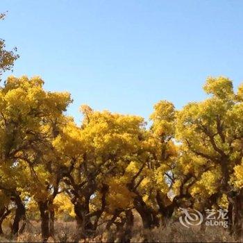 阿拉善盟好再来家庭旅店人行胡同店酒店提供图片