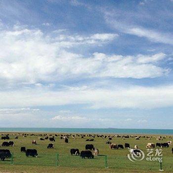 青海湖拉毛叶措天堂牧家宾馆酒店提供图片