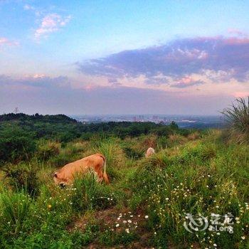 德阳来去驿舍酒店提供图片