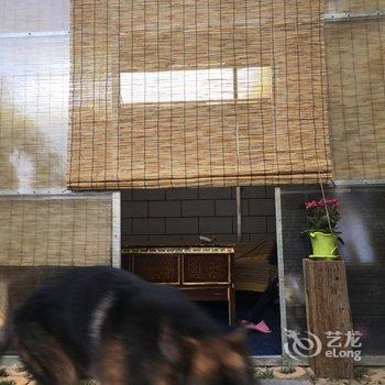拉萨大师兄的小铺子住宿酒店提供图片