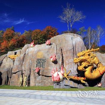 长白山龙顺雪山飞湖度假酒店酒店提供图片