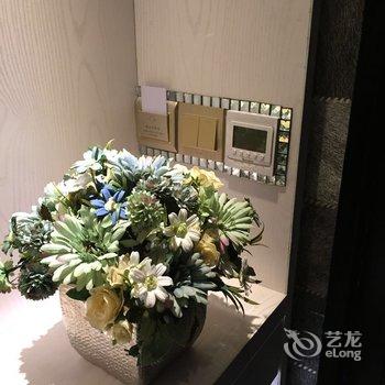 兰州西站乐谷臻品酒店式主题公寓酒店提供图片