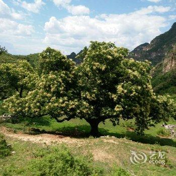 涞水天地江界富贵荘酒店提供图片