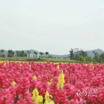 南充锦绣田园酒店酒店提供图片