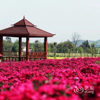 南充锦绣田园酒店酒店提供图片