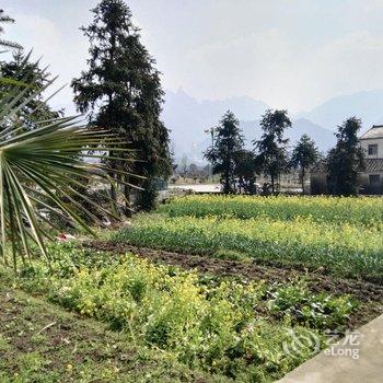 九华山祈福居客栈酒店提供图片