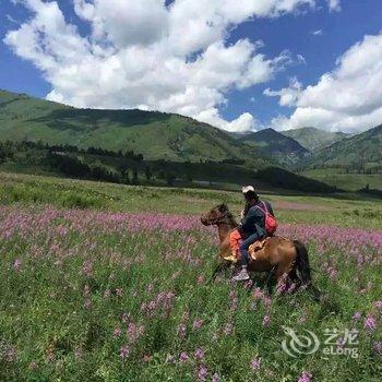 贾登峪哈萨克民族风情毡房客栈酒店提供图片