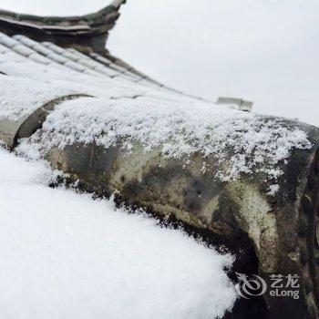 红河建水凤凰花开国际青年旅舍酒店提供图片