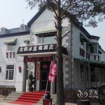 漠河县北极冰蓝莓酒庄(北极村分店)酒店提供图片