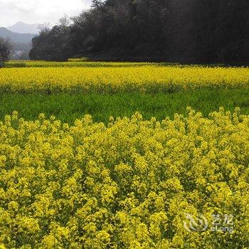 宏村东山别苑客栈酒店提供图片