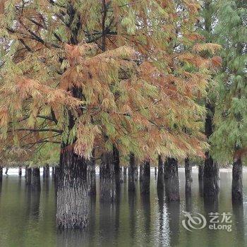 宏村东山别苑客栈酒店提供图片