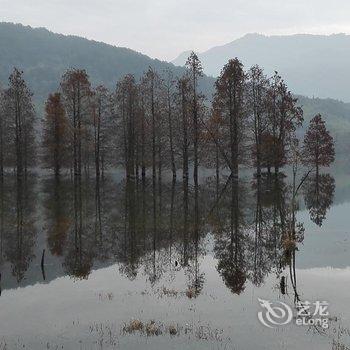 宏村东山别苑客栈酒店提供图片