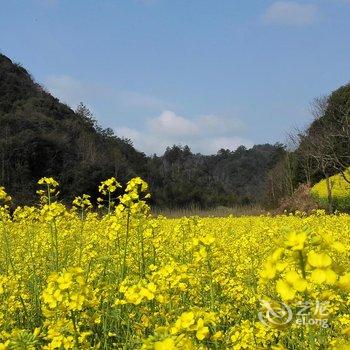 宏村东山别苑客栈酒店提供图片