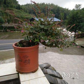 宜宾蜀南竹海林海大院酒店提供图片
